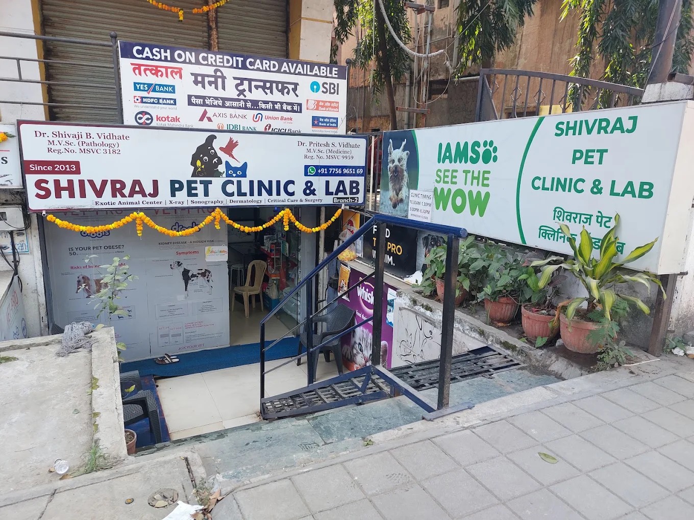 Looking for a Vet Near Wakad? Here's What Shivraj Pet Clinic Offers