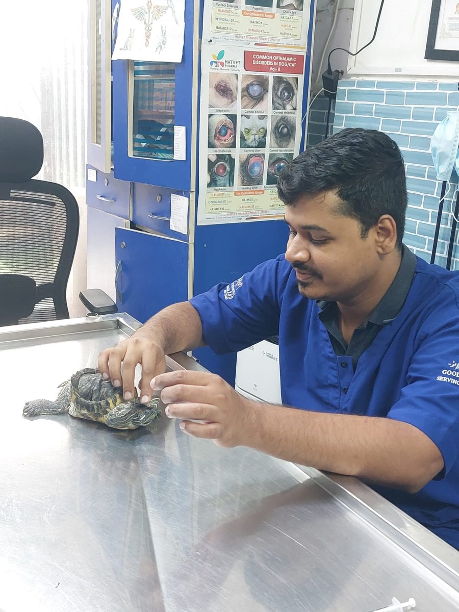 Veterinarian examining a pet turtle at Shivraj Pet Clinic, Pimple Nilakh