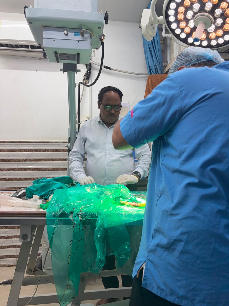 Senior veterinarian supervising a procedure at the operating table