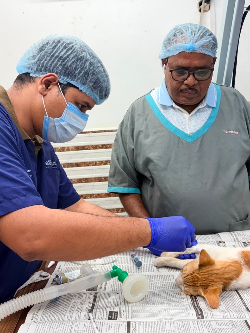 Dr. Pritesh and Dr. Shivaji Vidhate treating a cat together