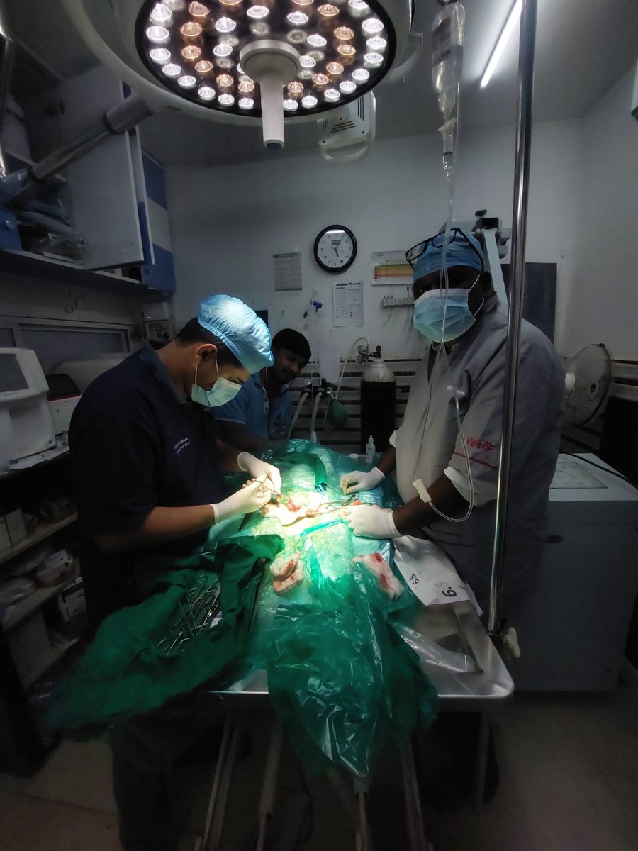 Veterinary surgical team performing tumour removal surgery on a dog